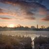 Sunrise over Bedworth Sloughs.jpg. Keywords: Andy Morley;??????????????????????????????????